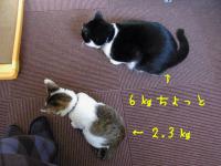 05_20121210142556.jpg