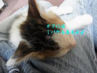 06_20120919113328.jpg