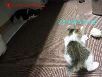 08_20120919113402.jpg