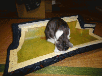 1358233985KUaco_n4vh73jAb1358233806.gif