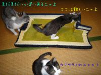 15_20130115173216.jpg