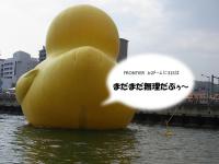 名称未設定 1 のコピー