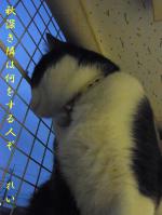 20120930.jpg