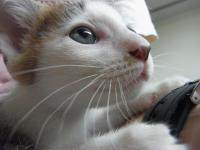 20120930 (10)