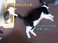 20121004 (9)