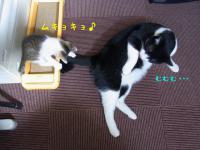 20121004 (7)