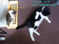 20121004 (5)