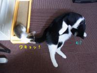 20121004 (6)