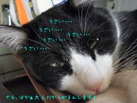 20121005 (27)