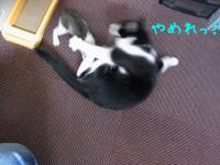 20121004 (11)