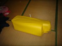 DSC01253.jpg