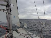 RIMG0071_20120423164214.jpg