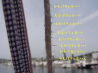 RIMG0074_20120515103633.jpg