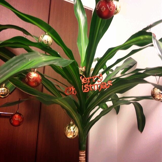 クリスマス2012-7