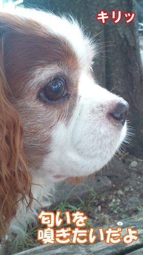 2012080303.jpg