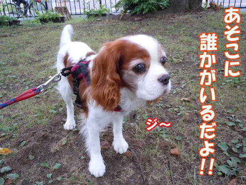 2012080804.jpg
