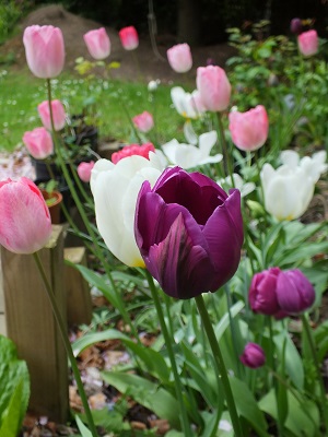 13may13 040ab