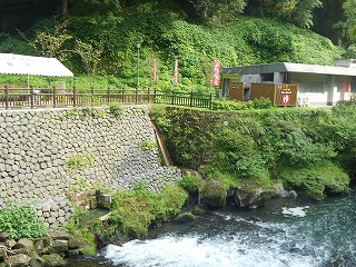 DSCN2185.jpg