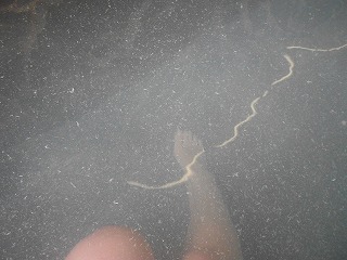 DSCN2752.jpg
