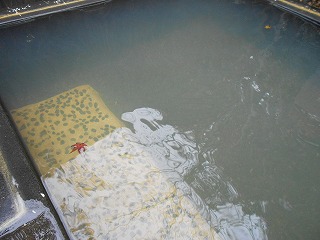DSCN3004.jpg