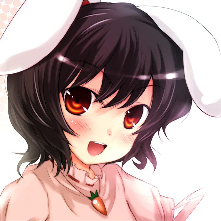 bandicam.jpg