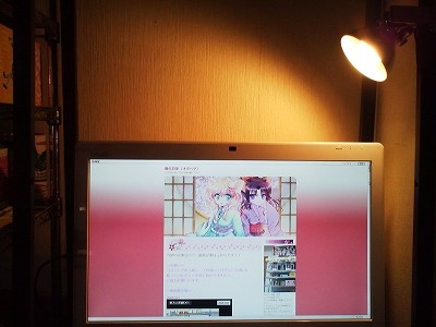 s-TS3R0455.jpg