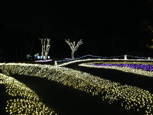 resize1150.jpg