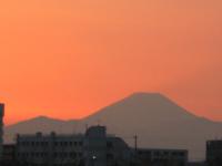 IMG_4108.jpg