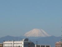 IMG_4163.jpg