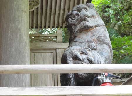 こまいぬ1