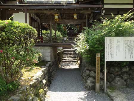 はいかん