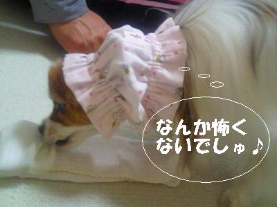 2014011421480002.jpg