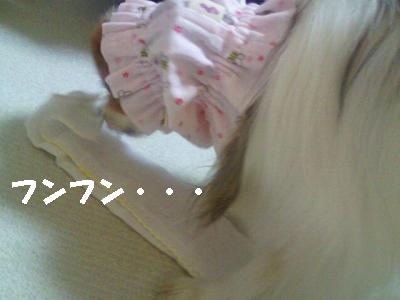 2014011421490000.jpg