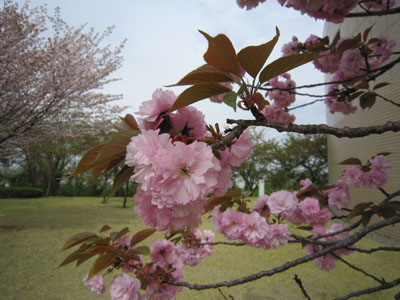 2012-4-30-1.jpg