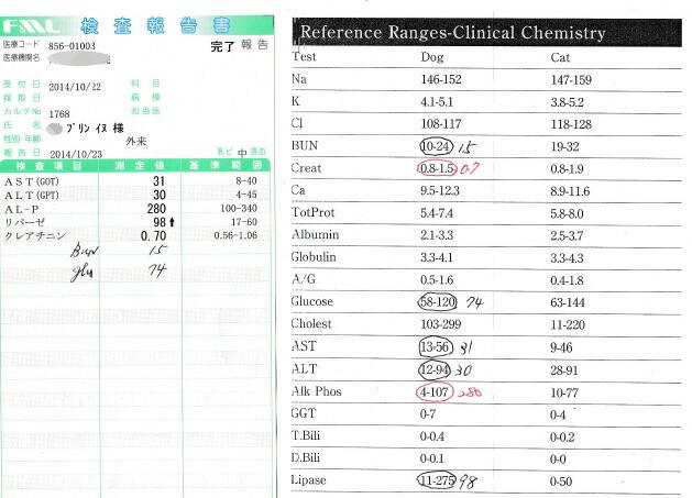 プリン検査結果141022mz
