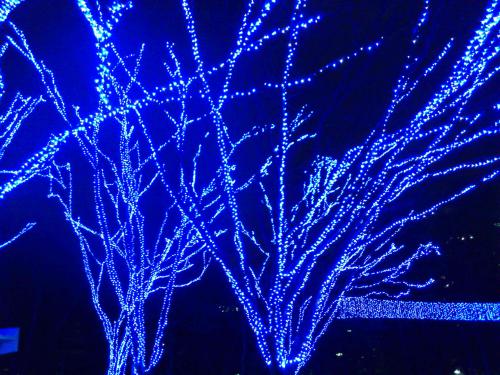 130107-005.jpg