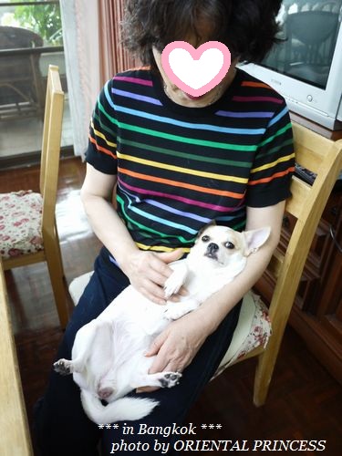 20120508-2.jpg