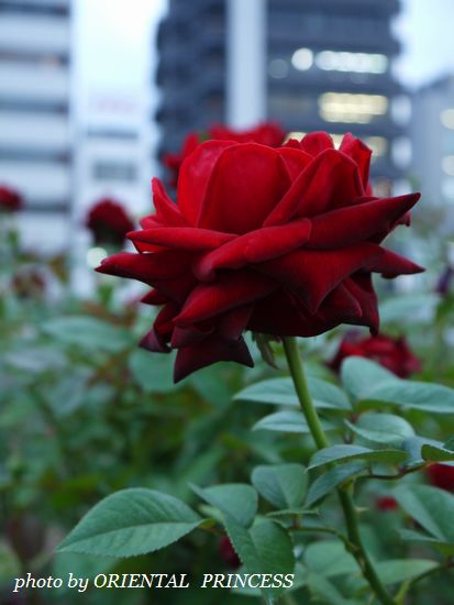 20121012-4.jpg