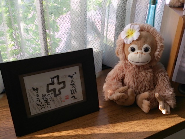 ナツプラス