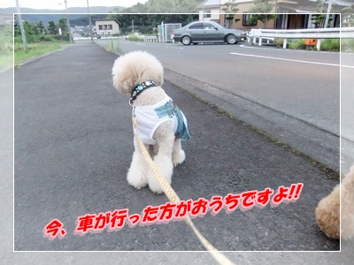 5_20120819073635.jpg