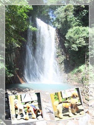 DSCF2297.jpg