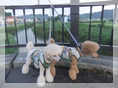 DSCF2380.jpg