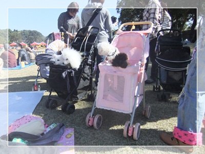 DSCF2706.jpg