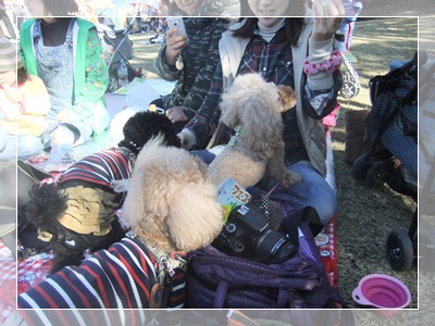 DSCF2730.jpg