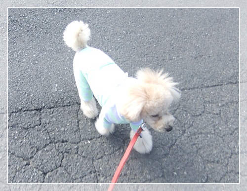 DSCF2766.jpg