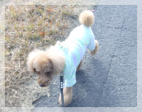 DSCF2767.jpg