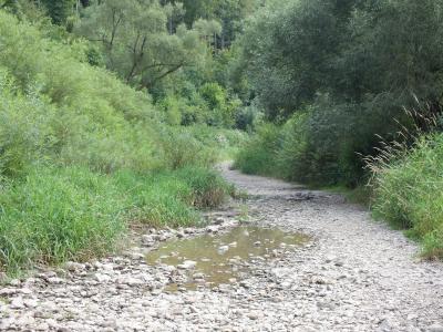 donau2