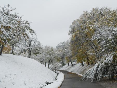 Limburgへ1