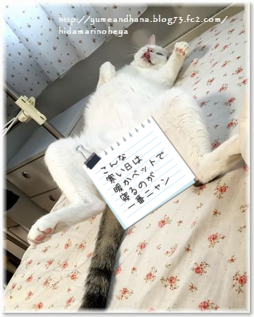 01-oNx6H5hCUF78guD1415973263_1415973594.png