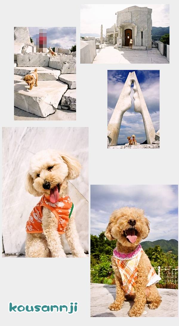 4cats76-600-1000しまなみ海道